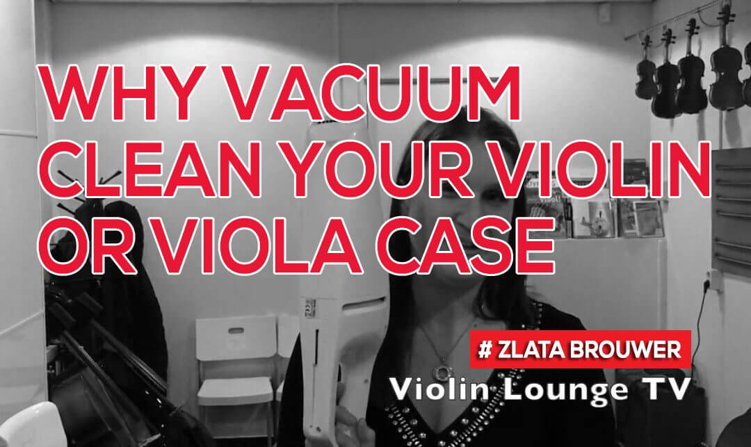 Why Vacuum Clean Your Violin or Viola Case