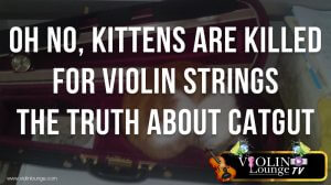 Oh No, Kittens are Killed for Violin Strings! – the Truth about Catgut Oh No, Kittens are Killed for Violin Strings! – the Truth about Catgut