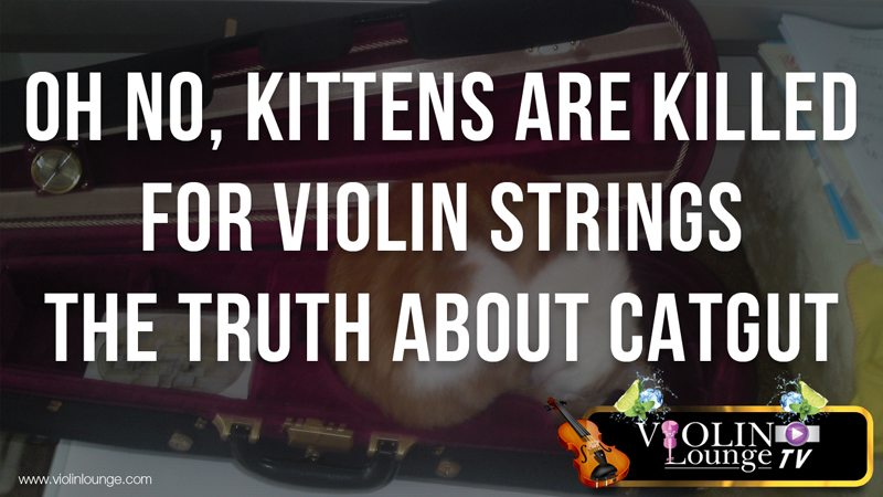 Oh No, Kittens are Killed for Violin Strings! – the Truth about Catgut
