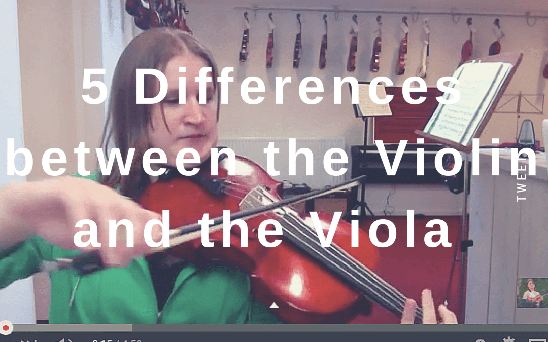 5 Differences between the Violin and the Viola