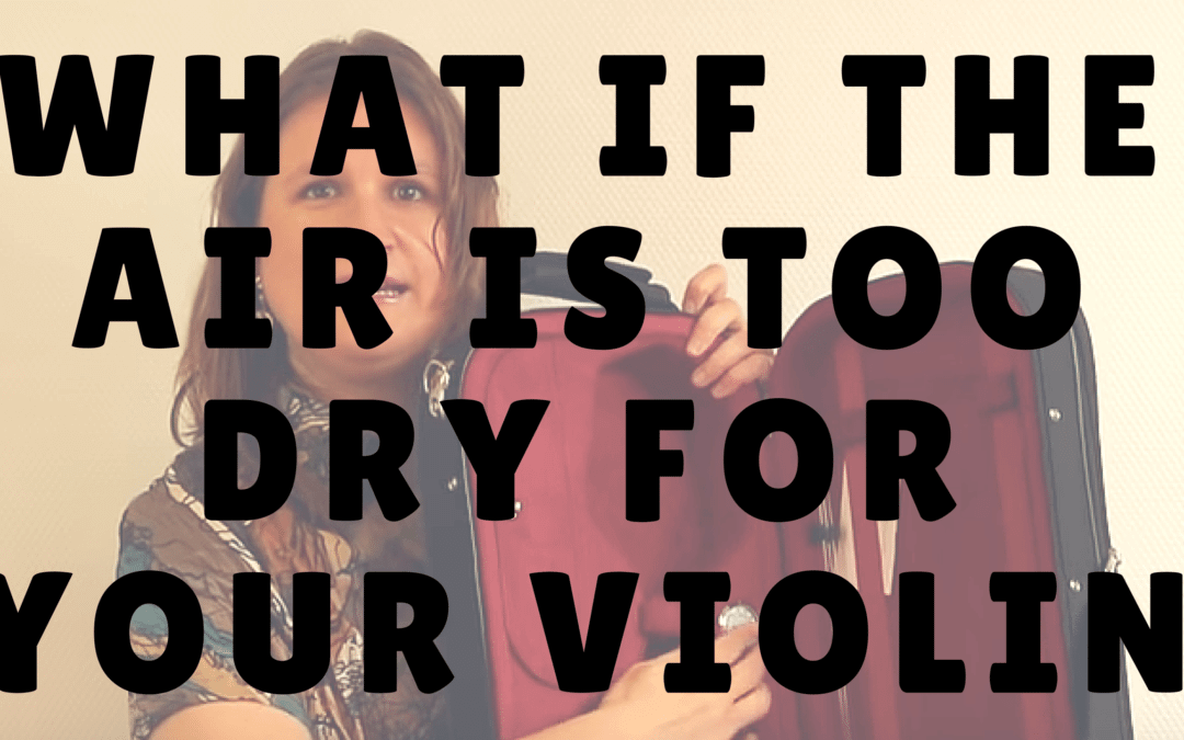 What to do if the Air is to Dry for your Violin? | Violin Lounge TV #234