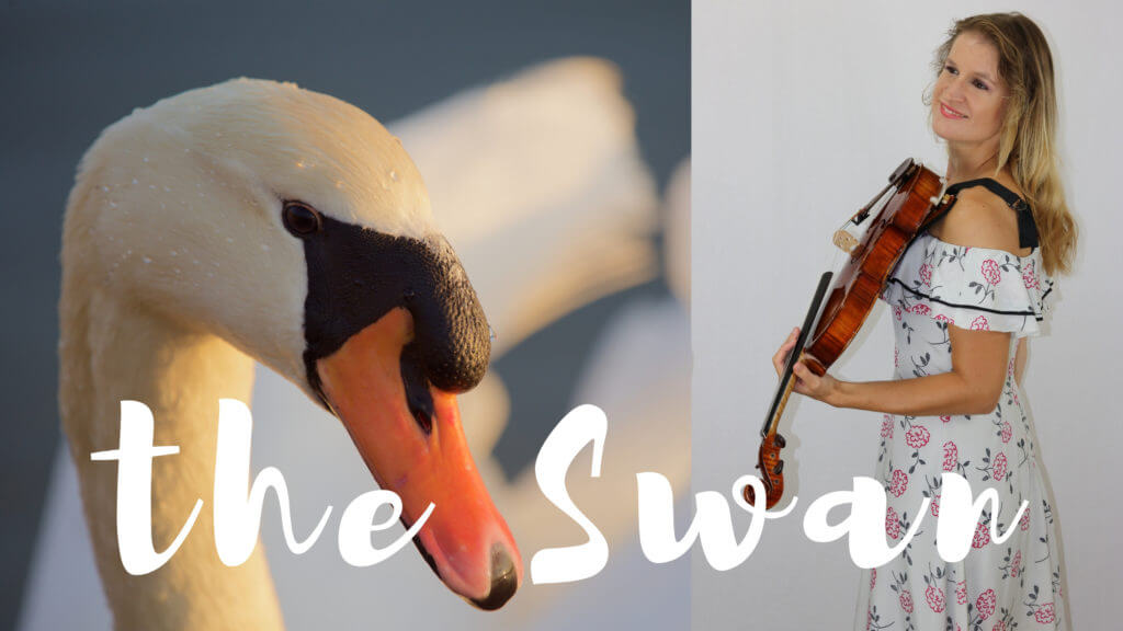 swan saint saens viola piano