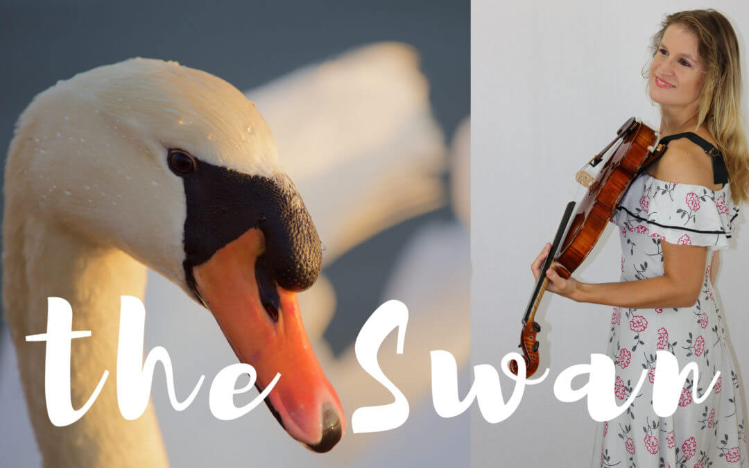 the Swan by Saint-Saëns (viola and piano)