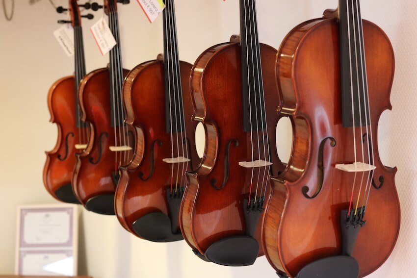 violins in violin shop 2