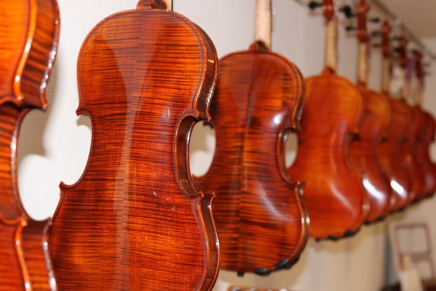 violins in violin shop 3