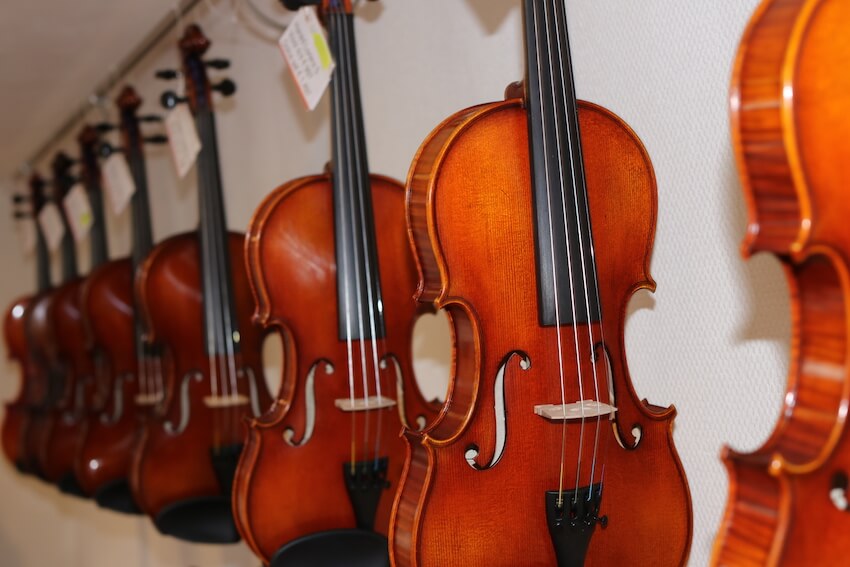 violins in violin shop
