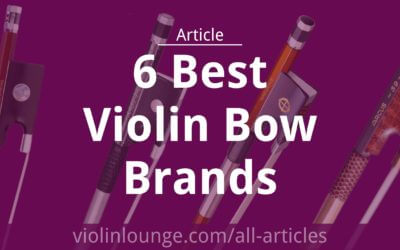 6 Best Violin Bow Brands of 2022