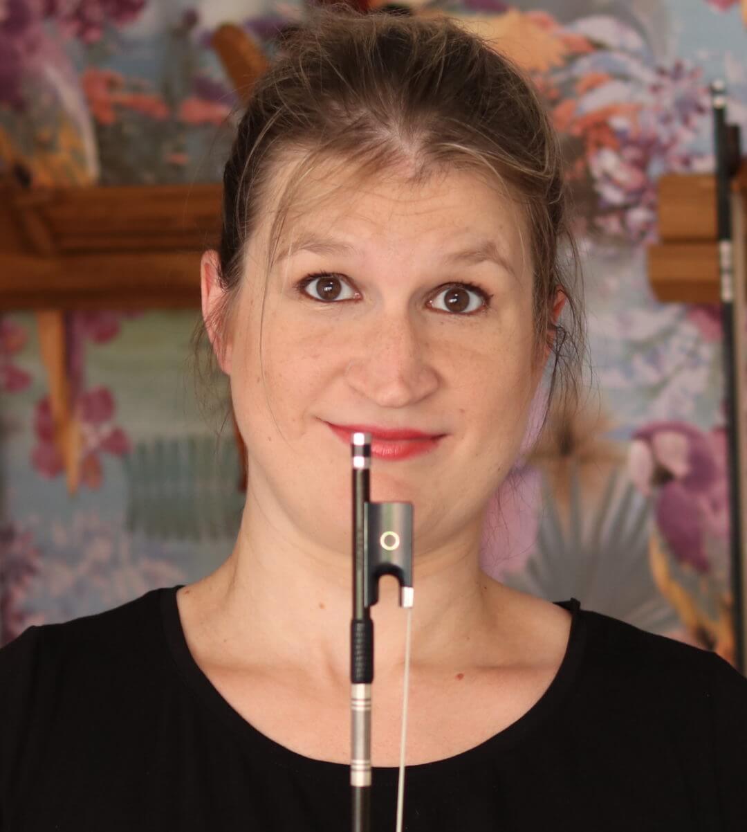 6 Best Violin Bow Brands of 2022 Violin Lounge