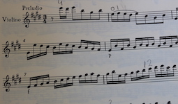 standard violin repertoire