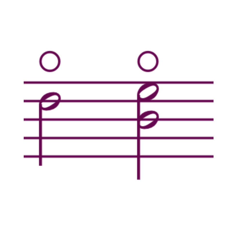 ALL 102 VIOLIN BOWING Techniques and Terms with Examples Violin Lounge