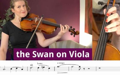 The Swan on Viola play along (1 hour progress)