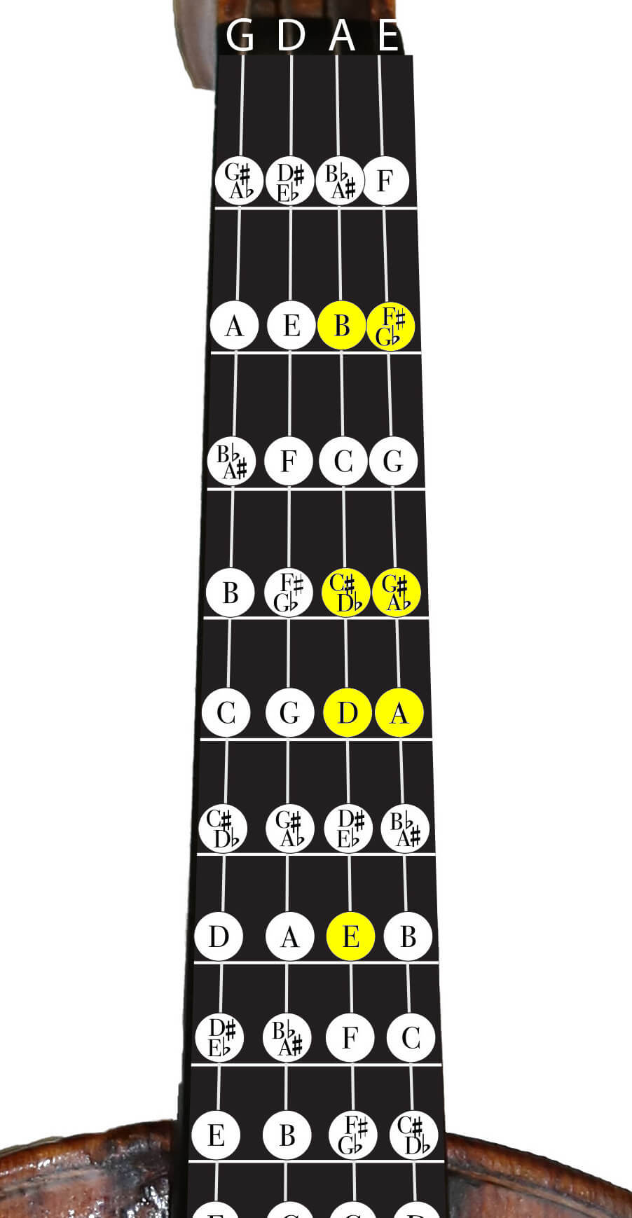 2025 violin scales chart netherlands Ns design wav5 violin trans red ...