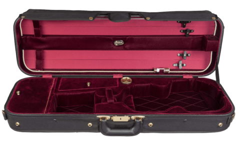 Best Violin Case: 2022 Buying Guide - Violin Lounge