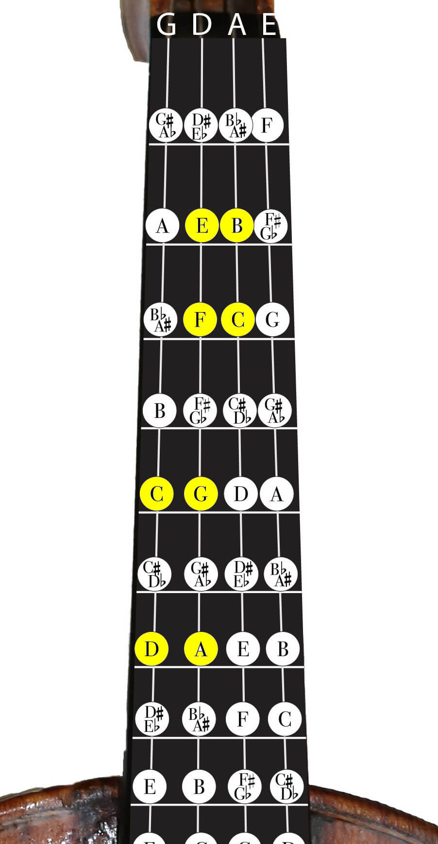 Violin Scales Chart My Xxx Hot Girl