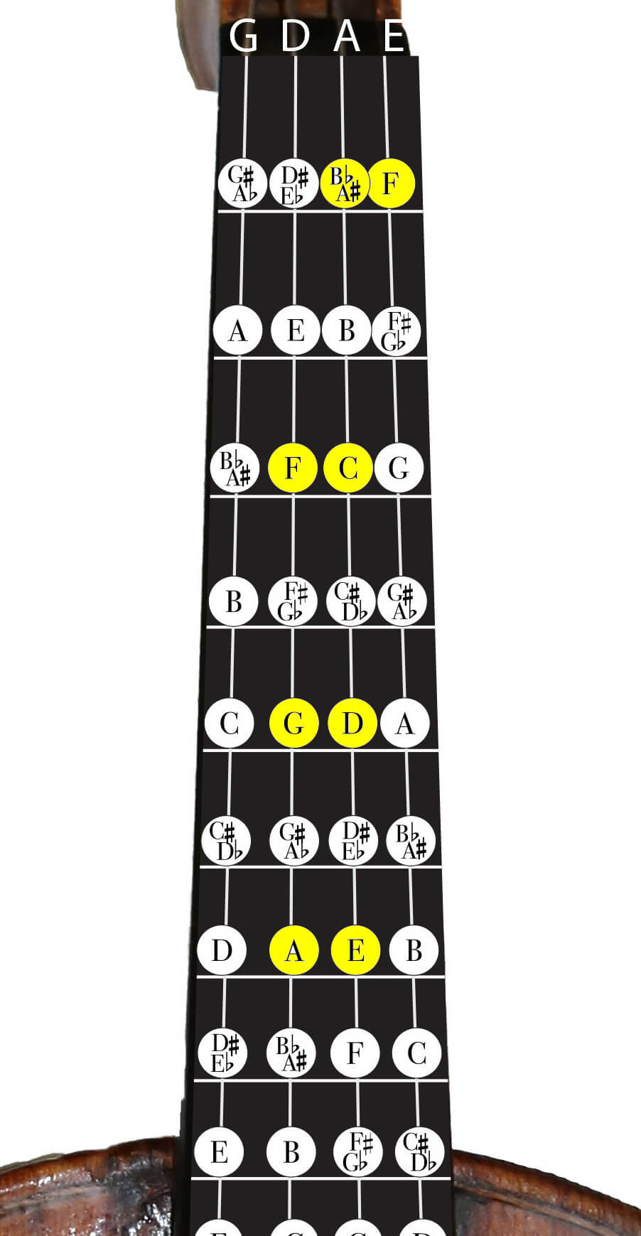 Violin Scales: Learn the Most Common Scales on the Violin - Violin Lounge