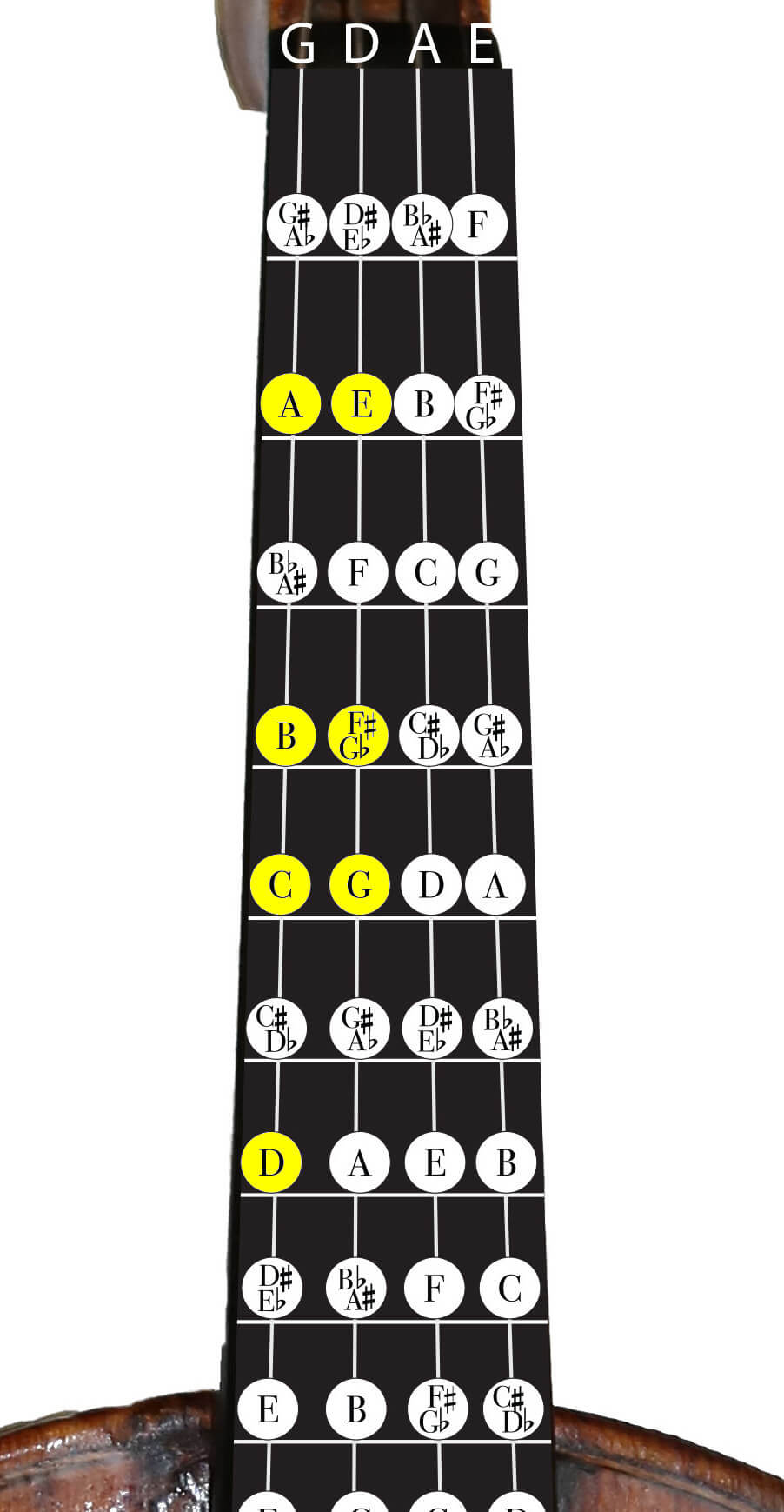 Violin Scales Learn the Most Common Scales on the Violin Violin Lounge