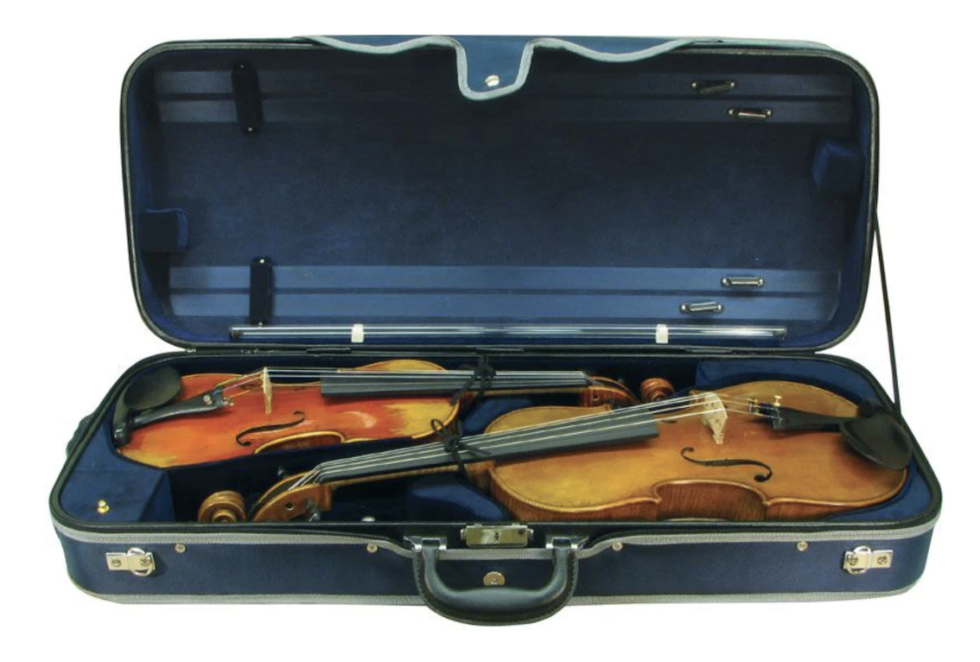 Best Violin Case 2022 Buying Guide Violin Lounge