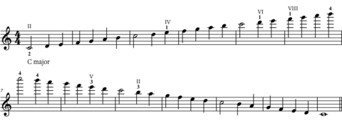 Violin Scales: Learn the Most Common Scales on the Violin - Violin Lounge