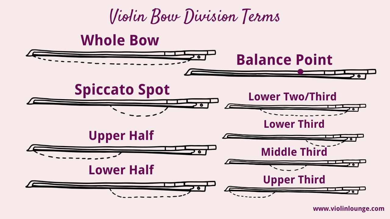 violin bow division parts chart