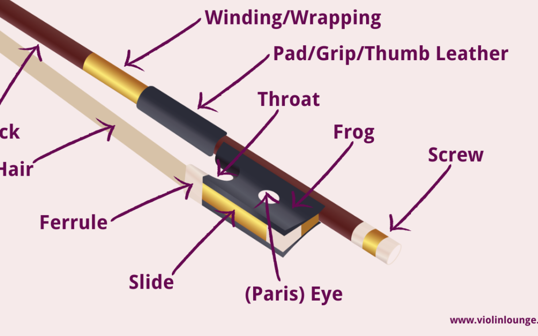 Violin Bow Parts: anatomy, function and bow division
