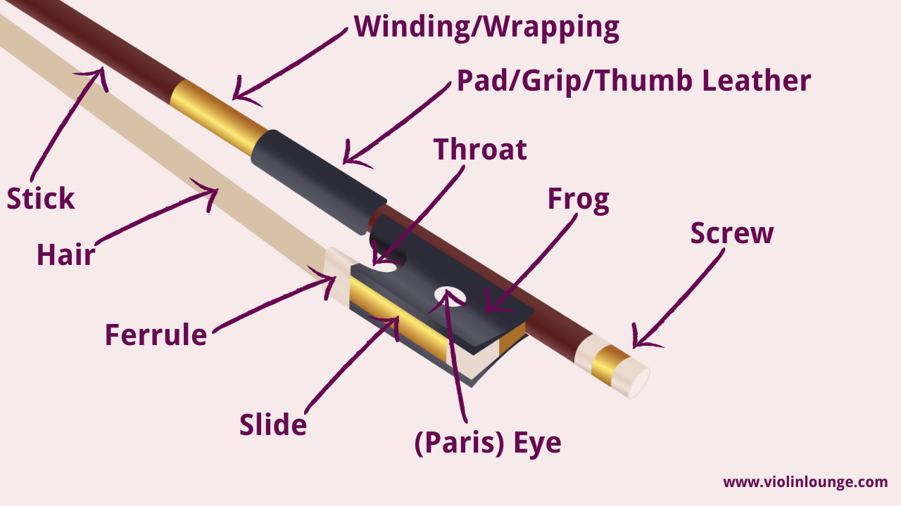 Violin Bow Parts: anatomy, function bow division - Violin Lounge