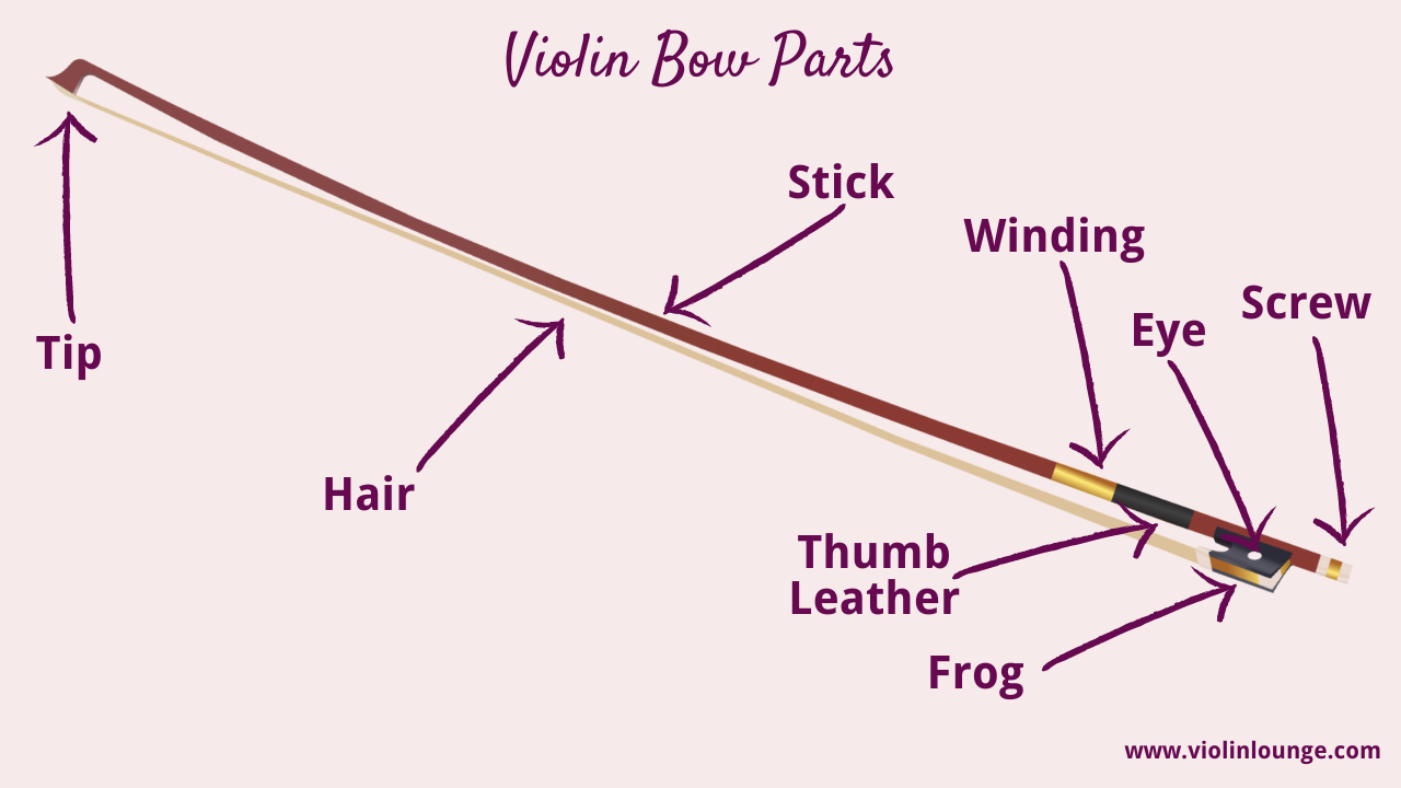 violin bow parts