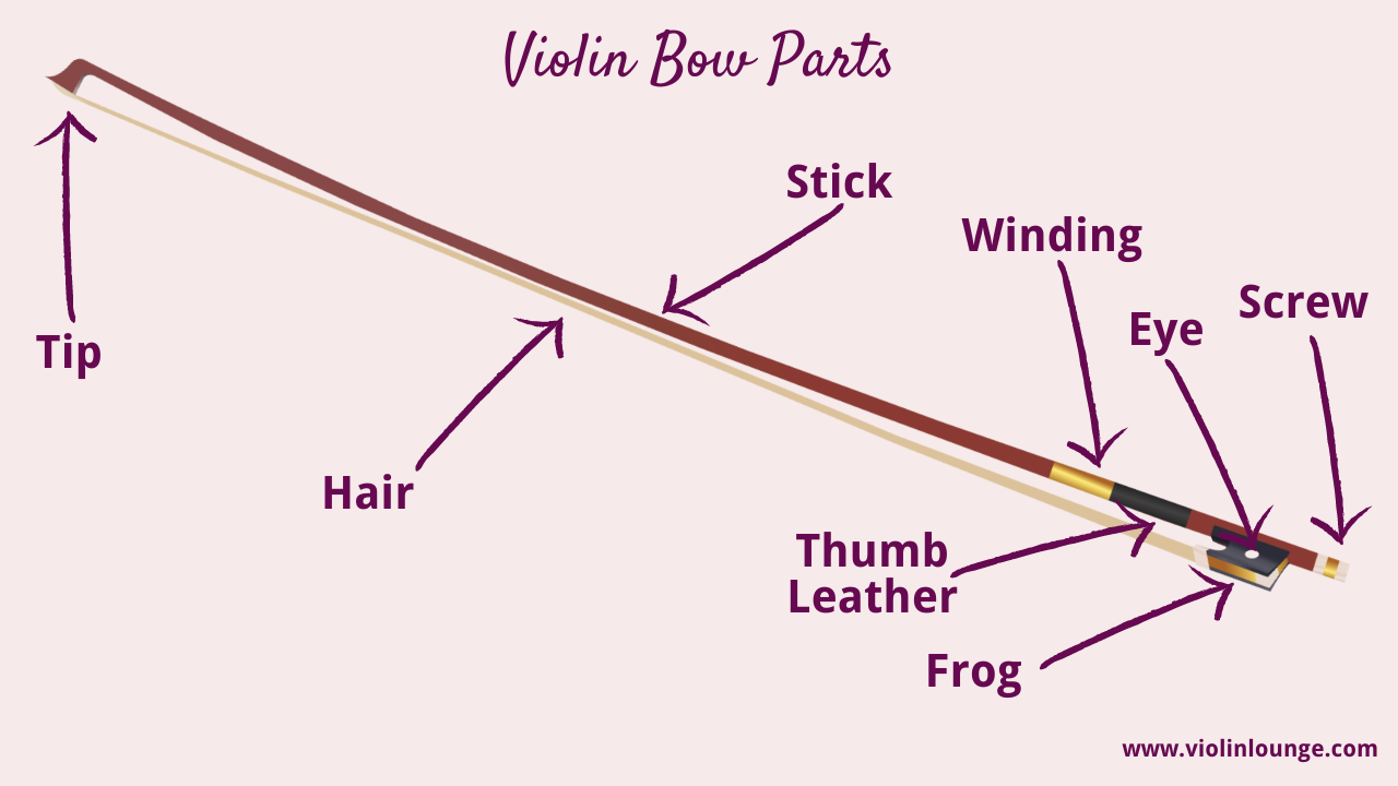 What are Violin Bows Made of  