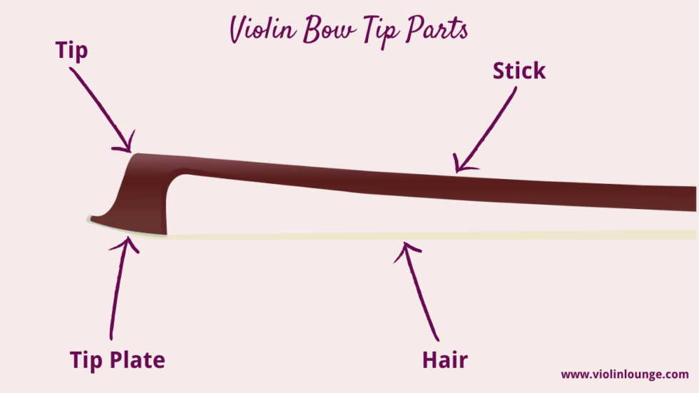 Violin Bow Parts anatomy, function and bow division Violin Lounge