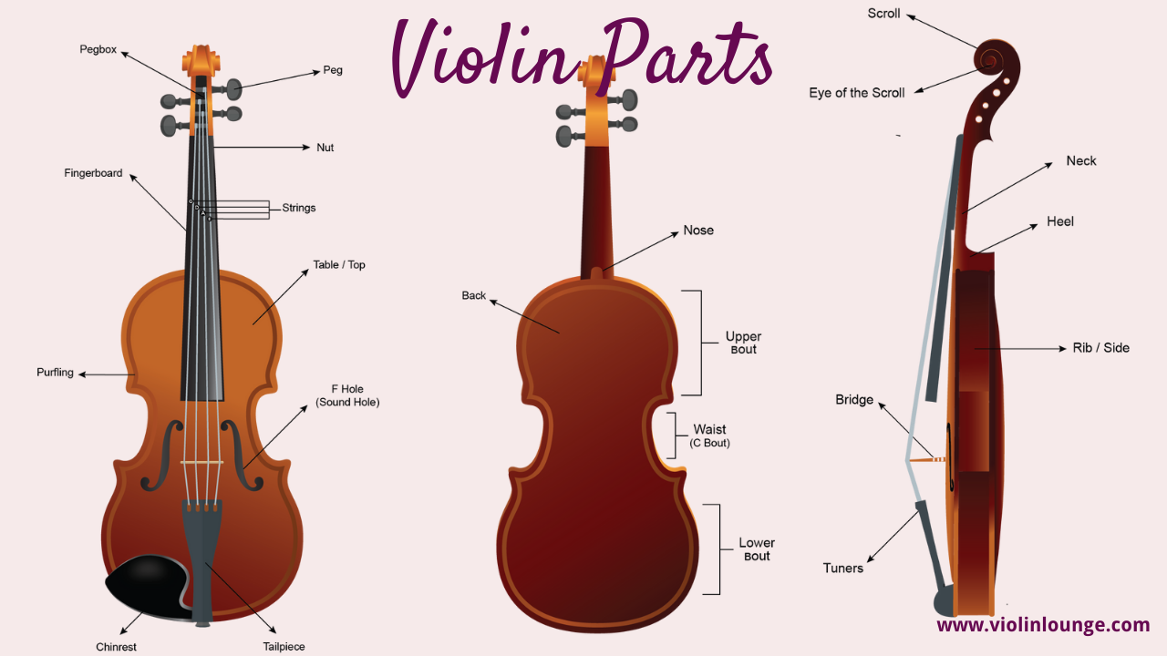violin parts
