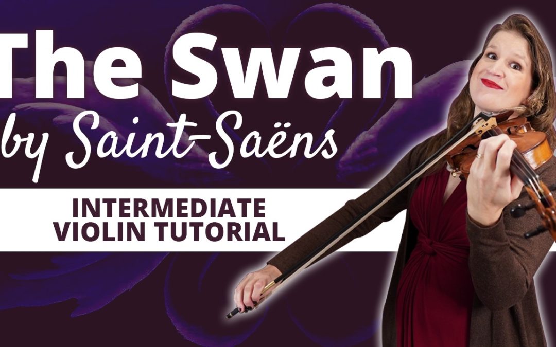 The Swan by Saint-Saëns Intermediate Violin Tutorial | Violin Lounge TV #497