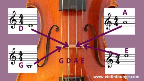 How to Read Violin Sheet Music (easy guide for beginner violinists ...