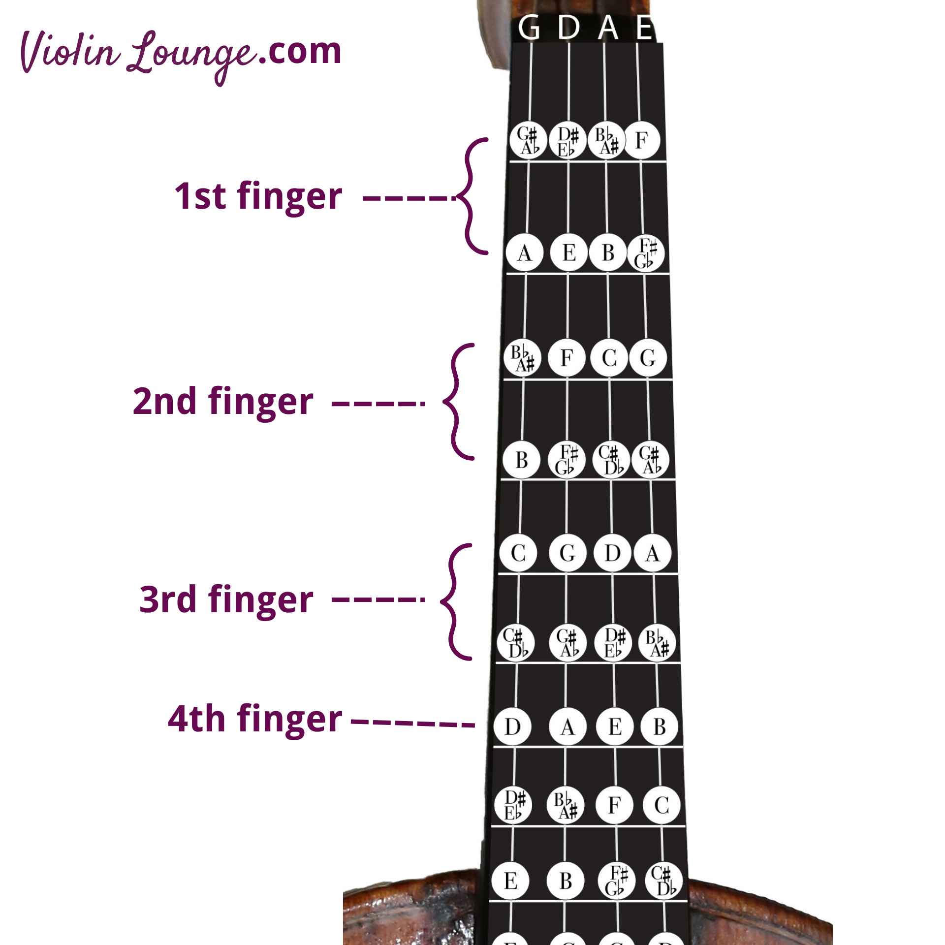 All Violin Notes in the First Position for Beginners Violin Lounge