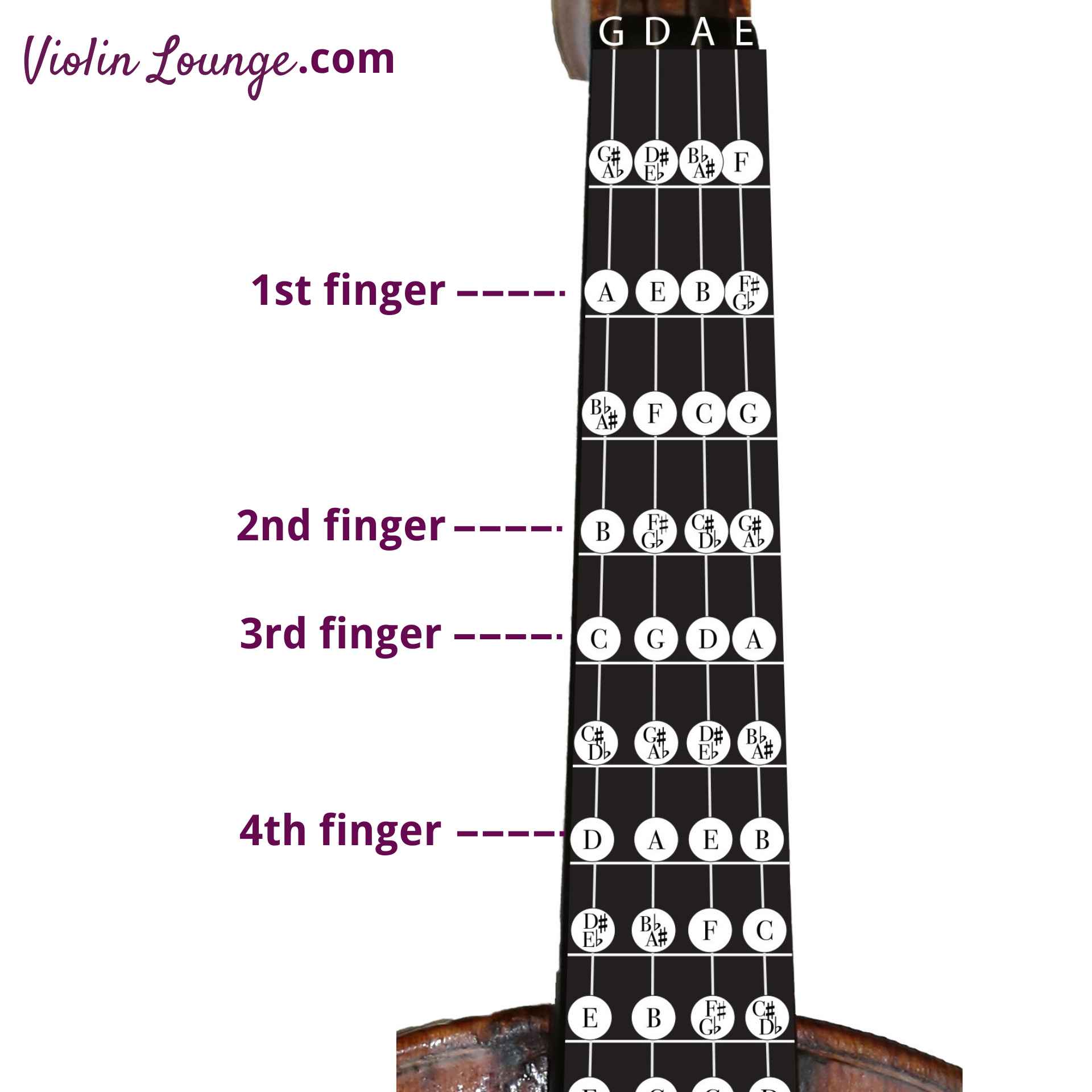 First Notes you Learn on the Violin as a Beginner - Violin Lounge