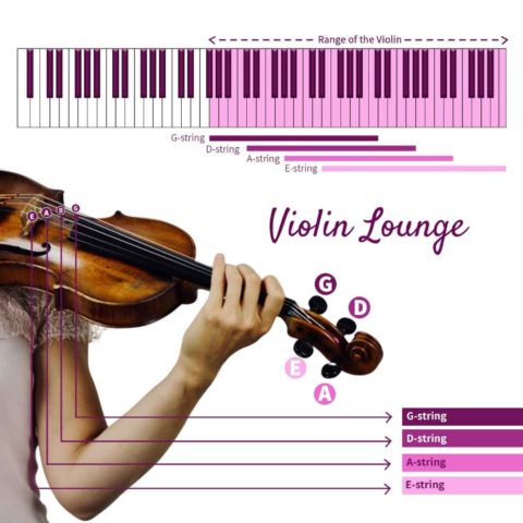 Violin Range vs Viola, Cello and Double Bass | Violin Lounge TV #538 ...