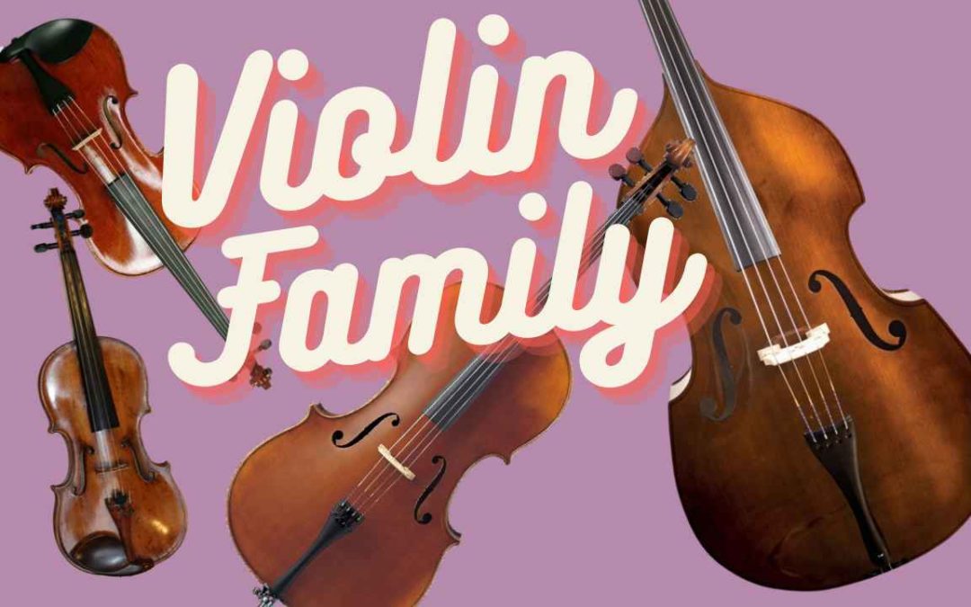 The Violin Family Explained with Video Examples