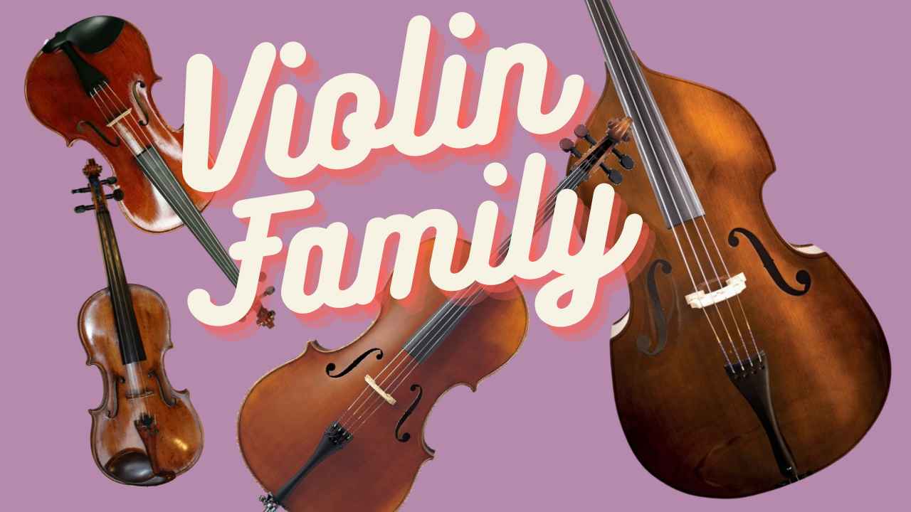 Which family is the deals cello in