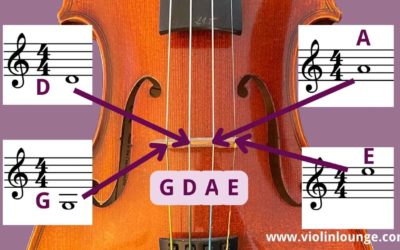 Strings on the Violin Explained: easy guide for newbies!