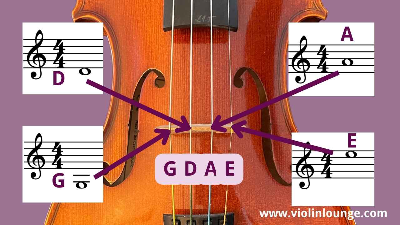 What are the Strings on a Violin  