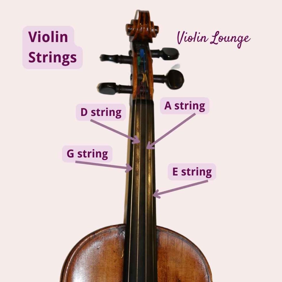 Strings on the Violin Explained: easy guide for newbies! - Violin Lounge