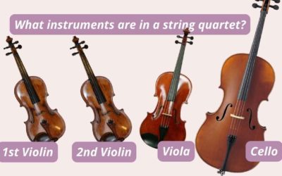 A Beginner’s Guide to String Quartets